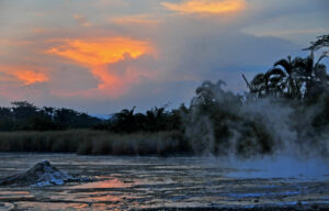 Read more about the article Semuliki National Park
