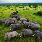 Queen Elizabeth National Park