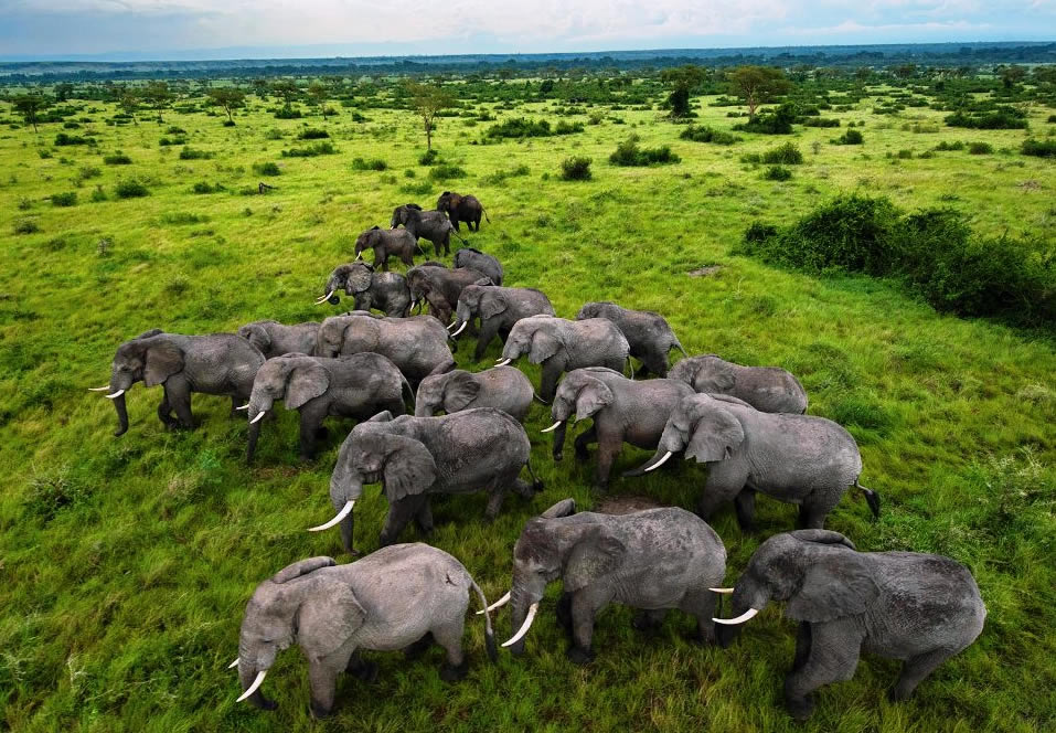 Read more about the article Queen Elizabeth National Park